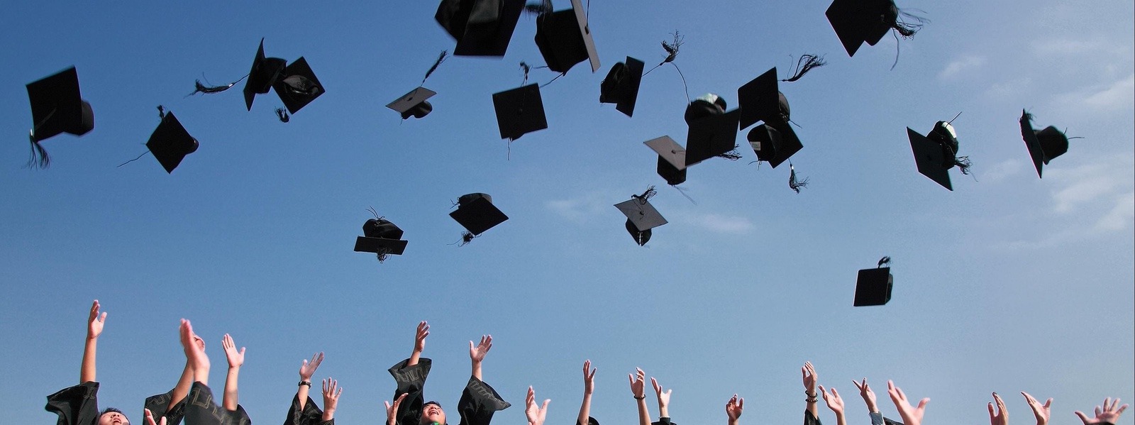 example idlooooooom cover image